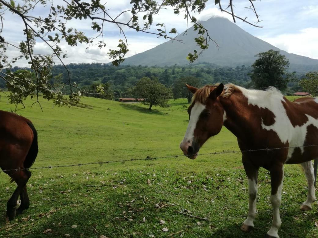 Casona Rustica & Bungalow La Fortuna 외부 사진